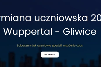 Strona internetowa projektu 