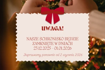 Przerwa świąteczna