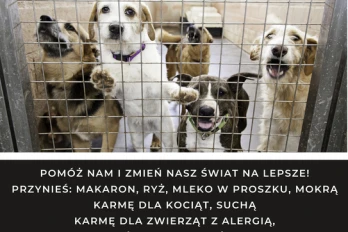 Światowy Dzień Zwierząt