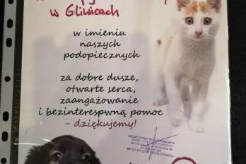 Zbiórka na rzecz podopiecznych Schroniska dla Zwierząt w Gliwicach